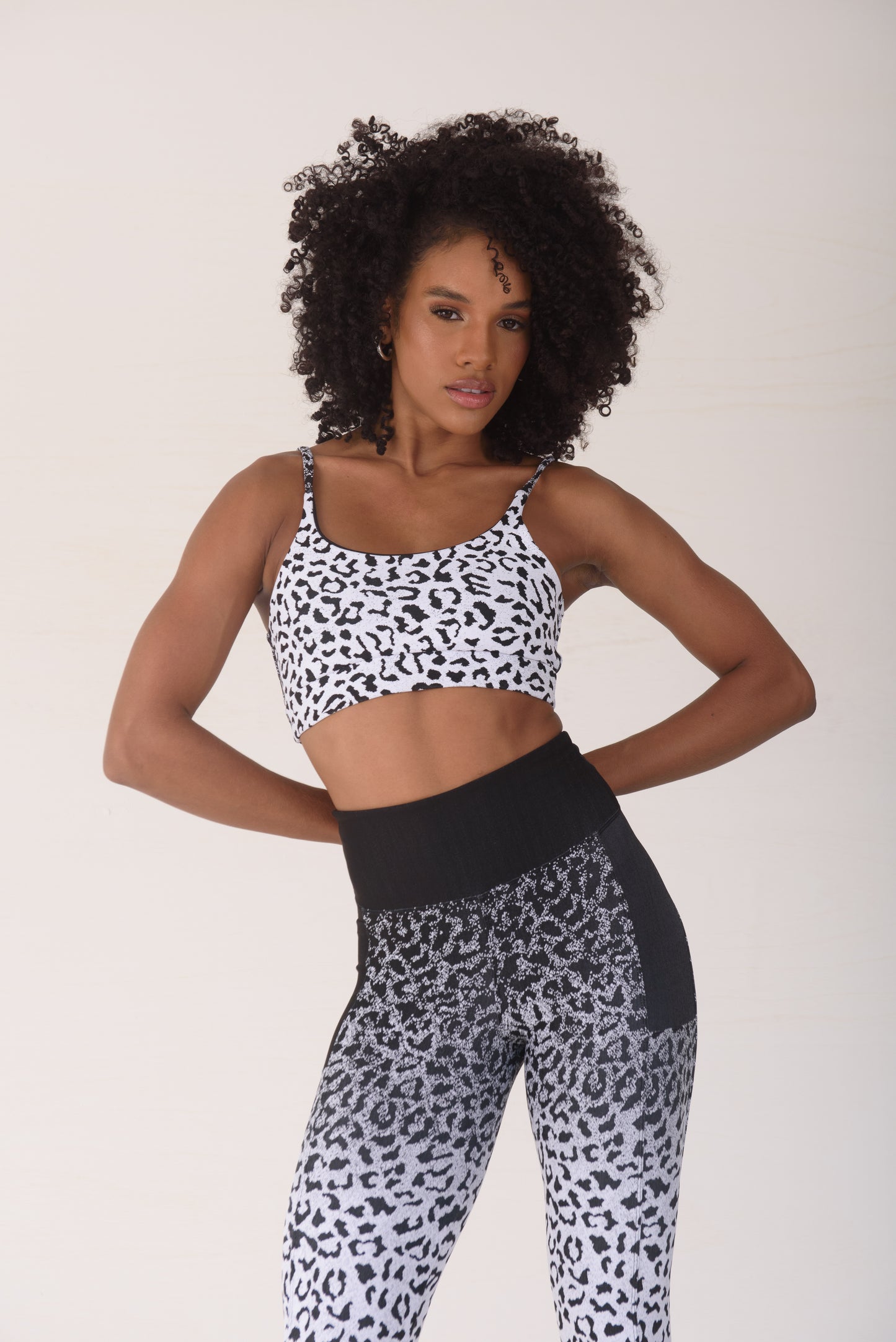 Ombre Animal Megan Bra