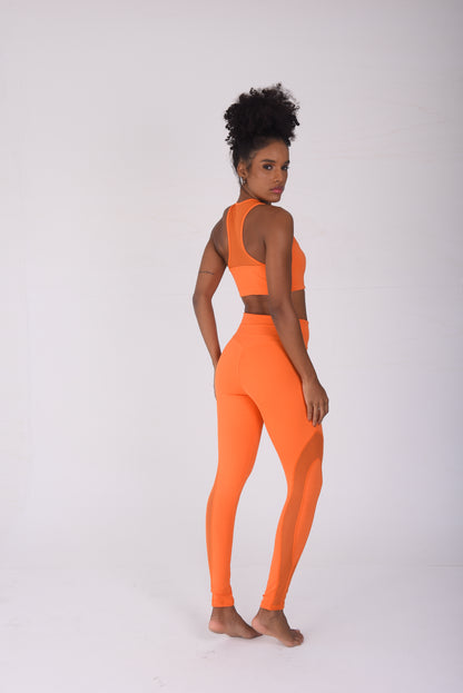 Orange Luxe Mesh Legging